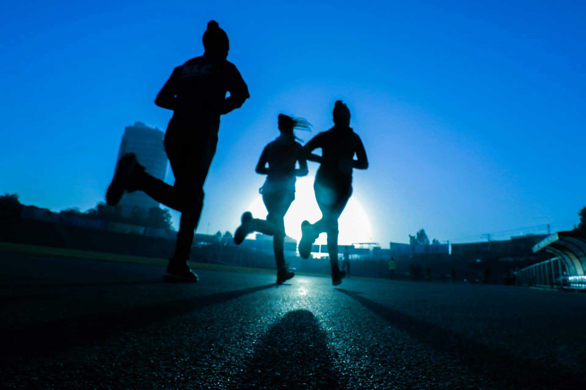 Grupo de corredores entrenando juntos en la carretera